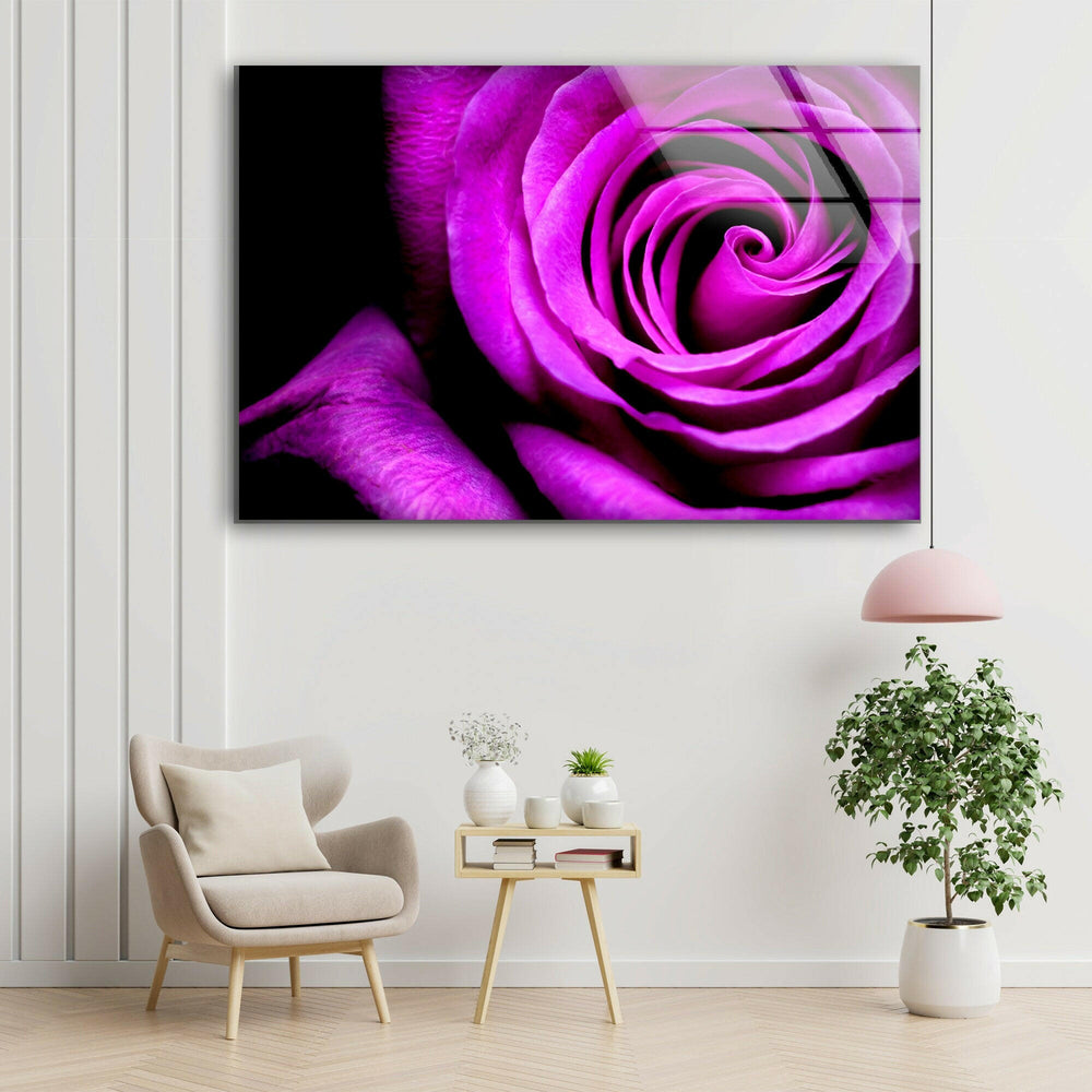 Big Purple Rose Glass Wall Art, picture on glass wall art, photos printed on glass
