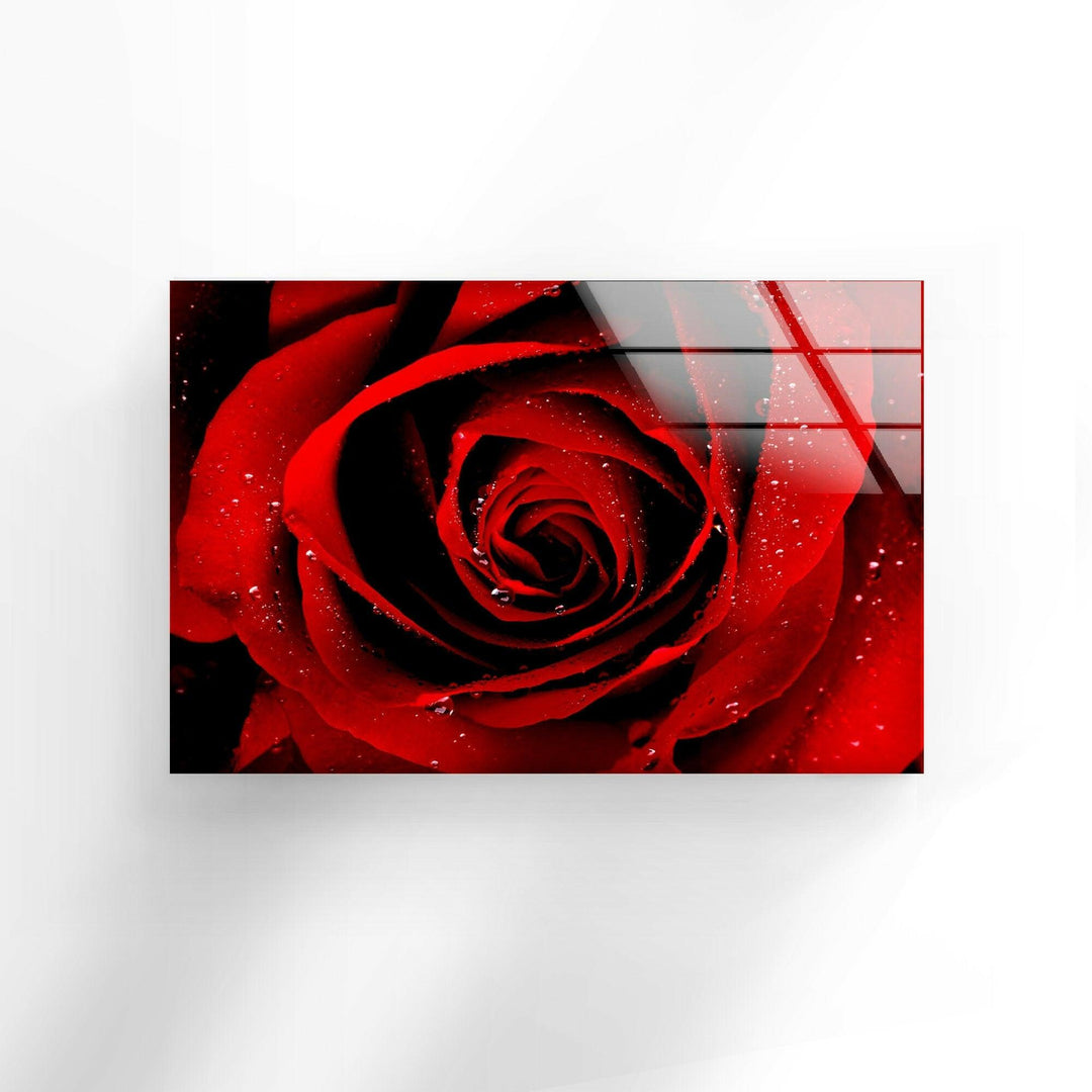 Red Rose Glass Wall Art, glass photo prints, glass picture prints