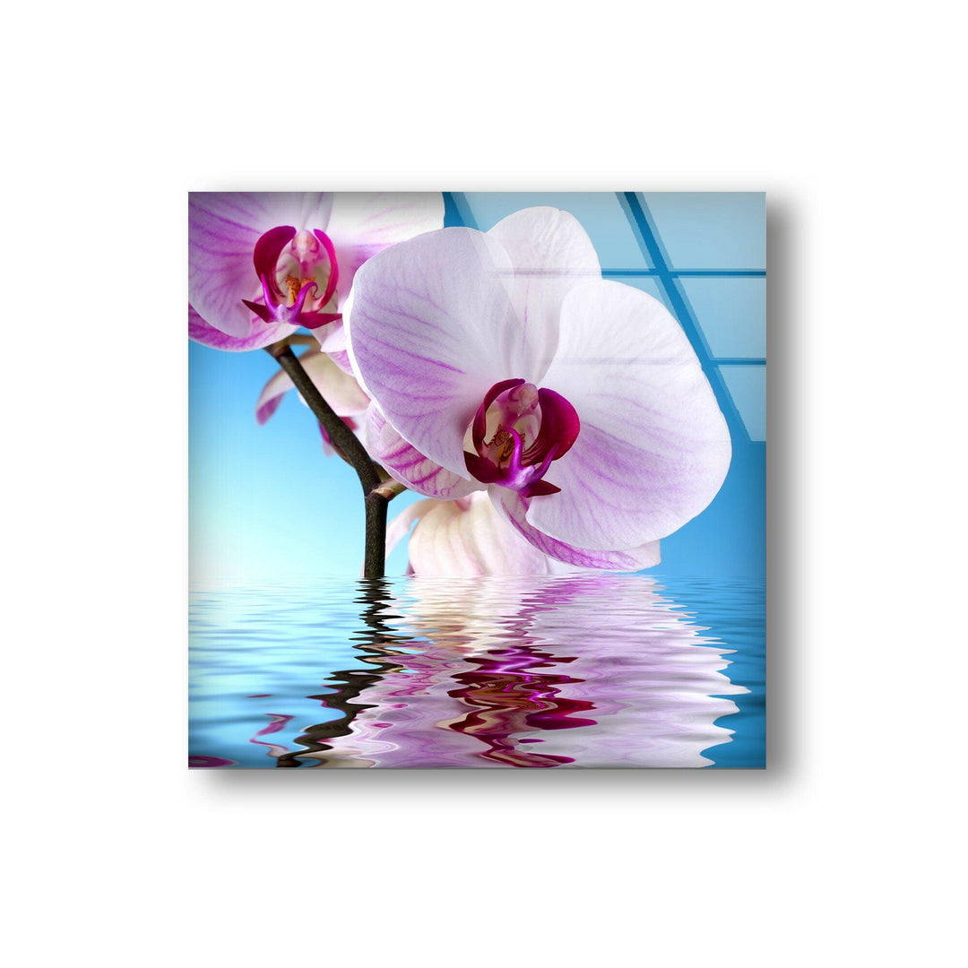 Pink Orchid Glass Wall Art, photo print on glass, prints on glass wall art