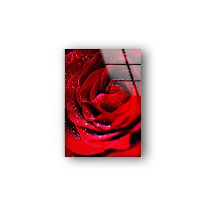 Red Rose With Water Drops Glass Wall Art, glass image printing, glass prints from photos