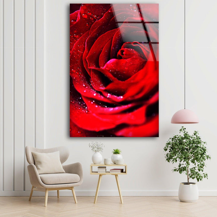 Red Rose With Water Drops Glass Wall Art, glass pictures for Wall, glass prints wall art