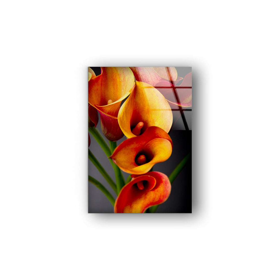 Orange Calla Lilies Glass Wall Art, glass pictures for Wall, glass prints wall art