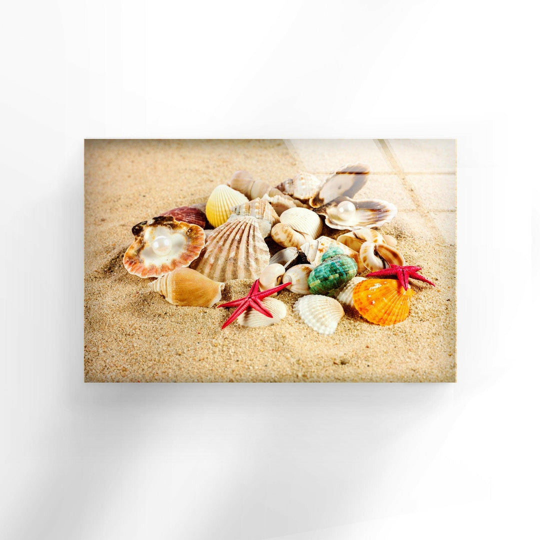 Sea Shell Beach Glass Wall Art glass pictures for Wall, glass prints wall art