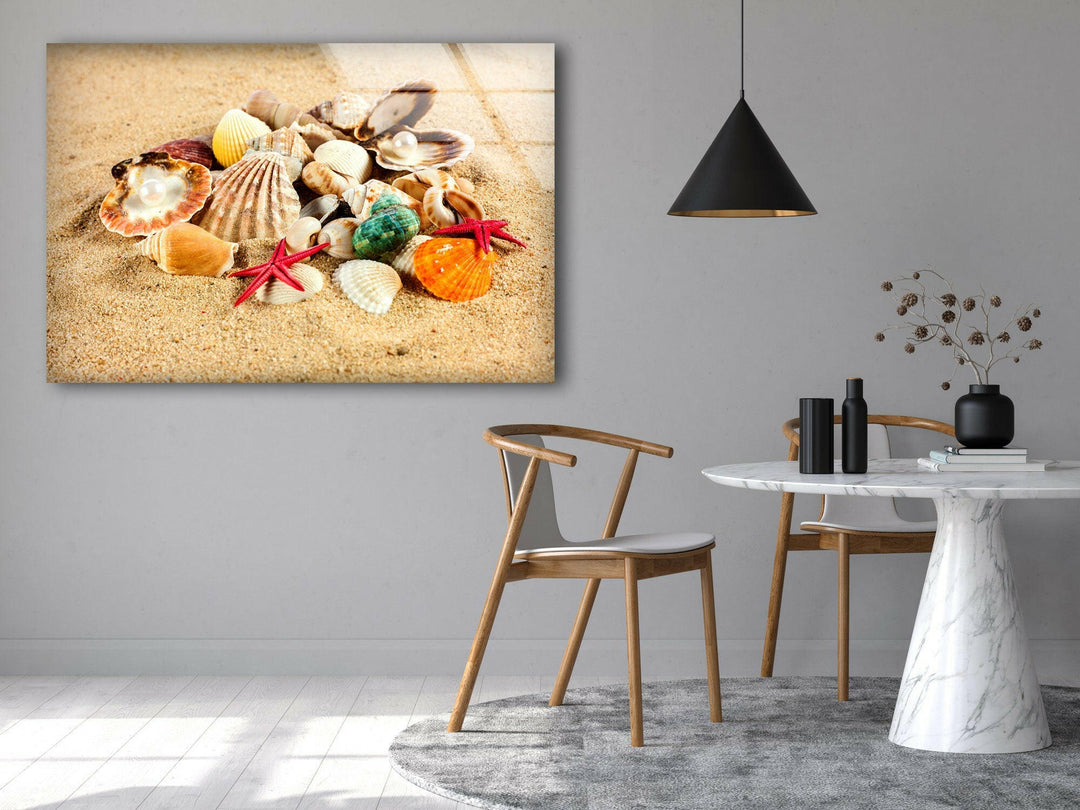 Sea Shell Beach Glass Wall Art photo print on glass, prints on glass wall art