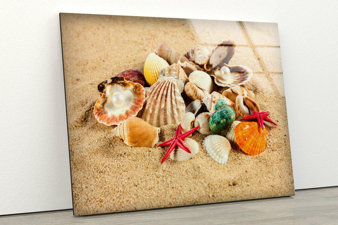 Sea Shell Beach Glass Wall Art Glass Printing Wall Art, Print photos on glass