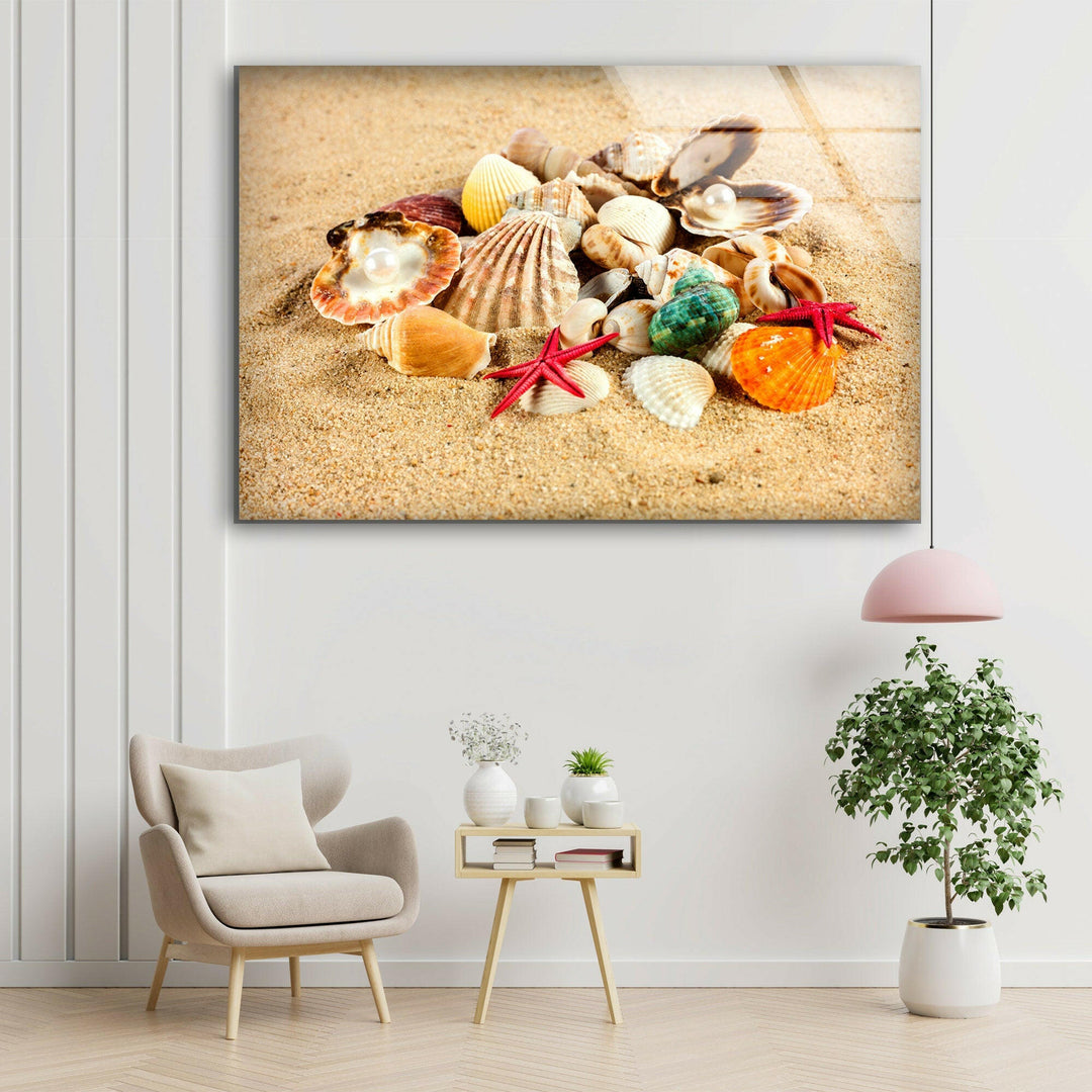 Sea Shell Beach Glass Wall Art glass photo prints, glass picture prints