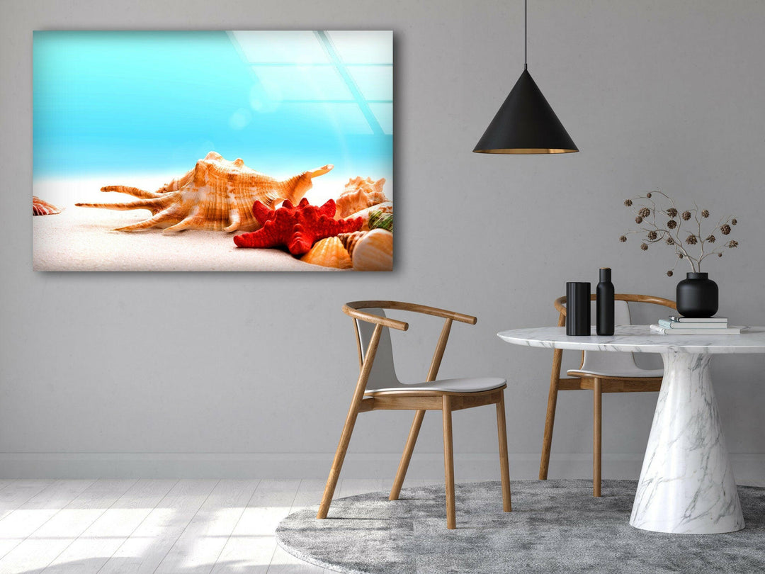 Seashells & Starfish Glass Wall Art large glass photo prints, glass wall photos