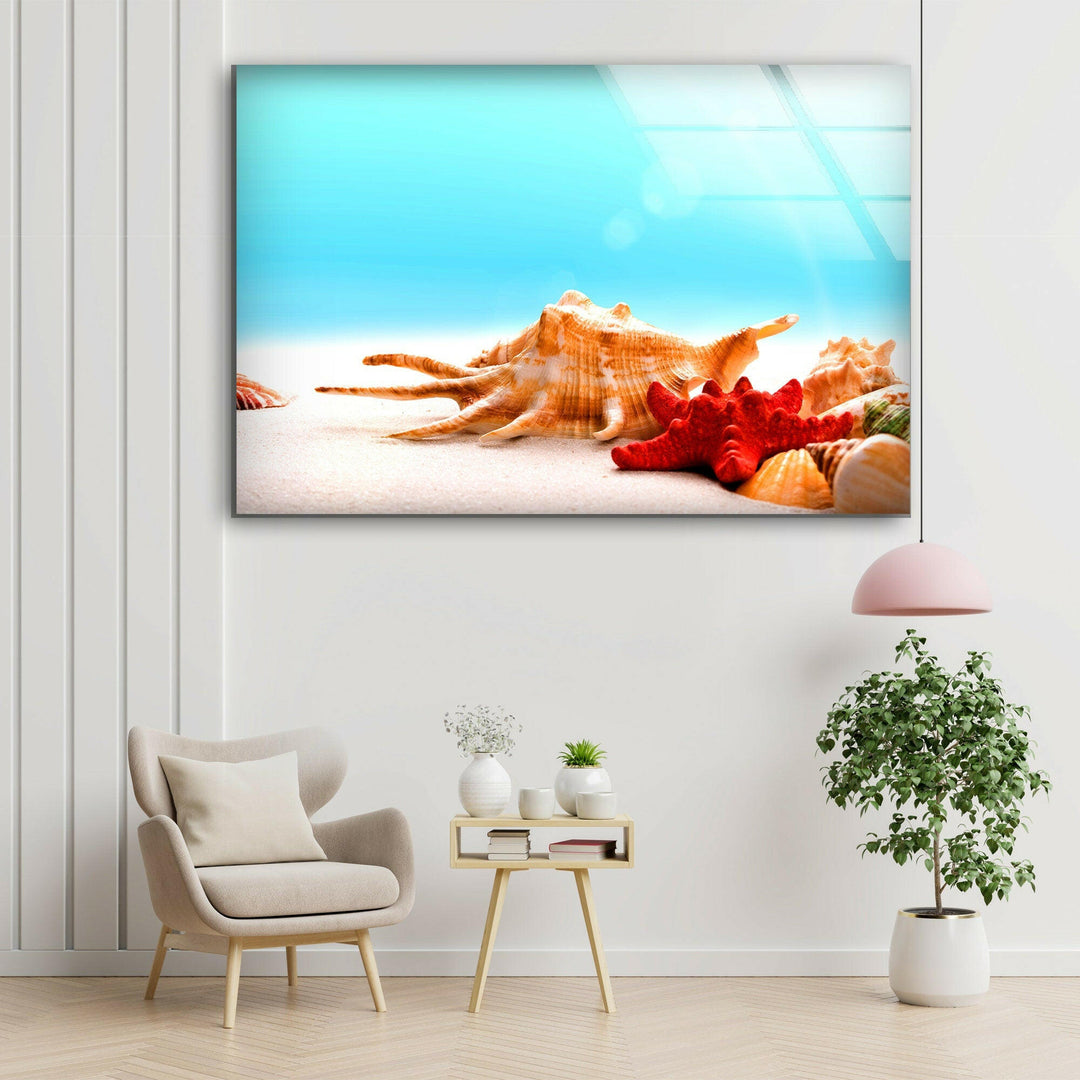 Seashells & Starfish Glass Wall Art photo print on glass, prints on glass wall art