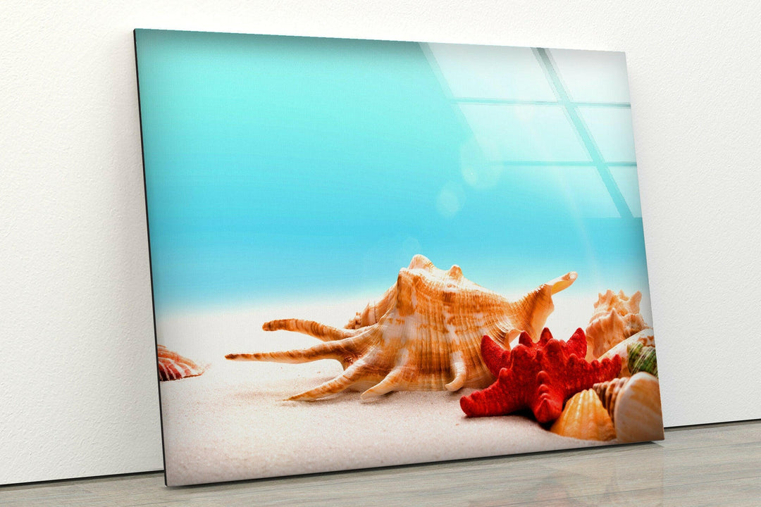 Seashells & Starfish Glass Wall Art glass image printing, glass prints from photos