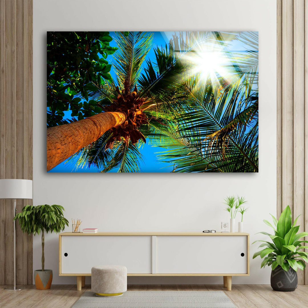 Palm Trees On A Sunny Glass Wall Art photo print on glass, prints on glass wall art