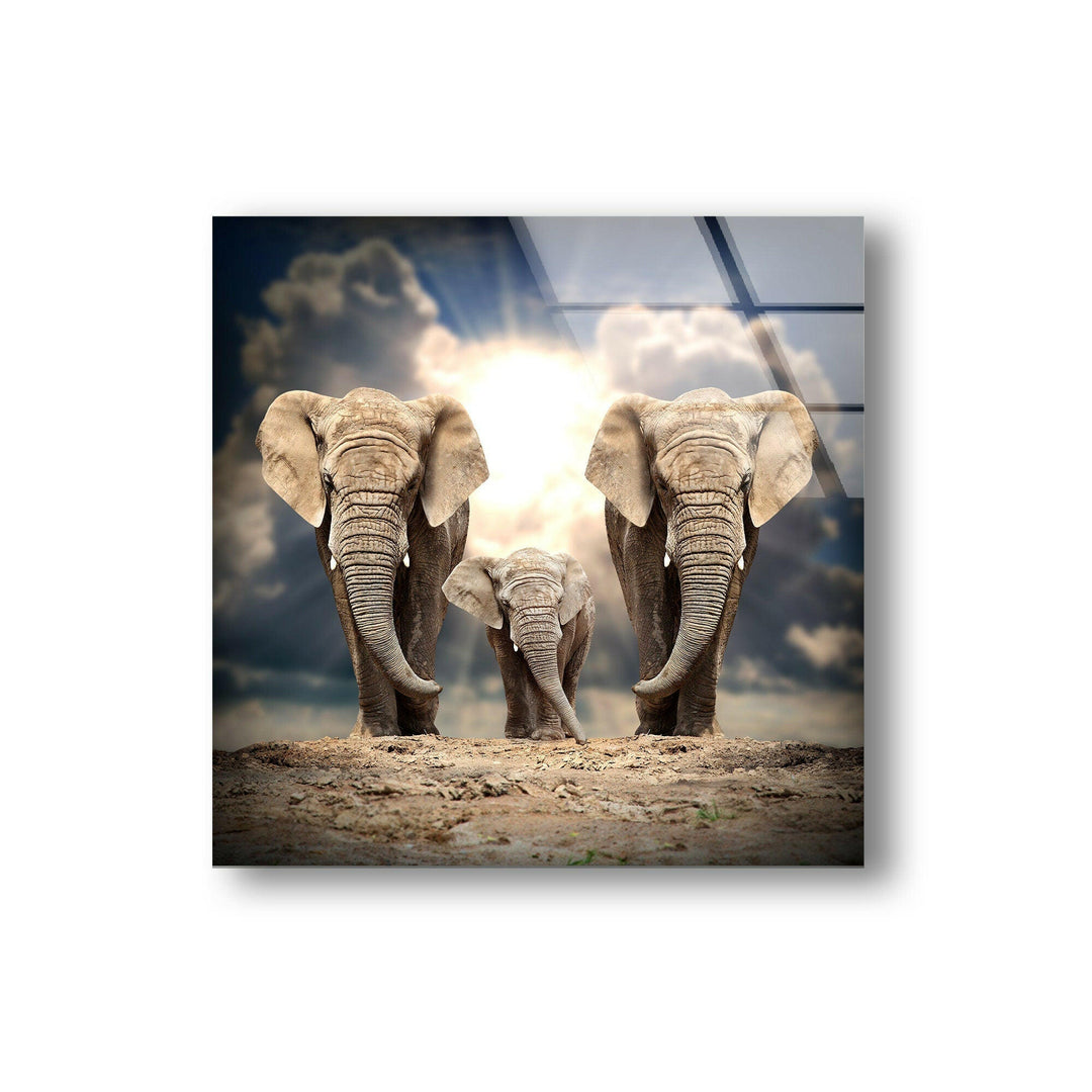 Safari Elephant Family Glass Wall Art glass photo prints, glass picture prints