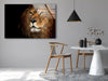 Wild Life Lion Tempered Glass Wall Art - MyPhotoStation