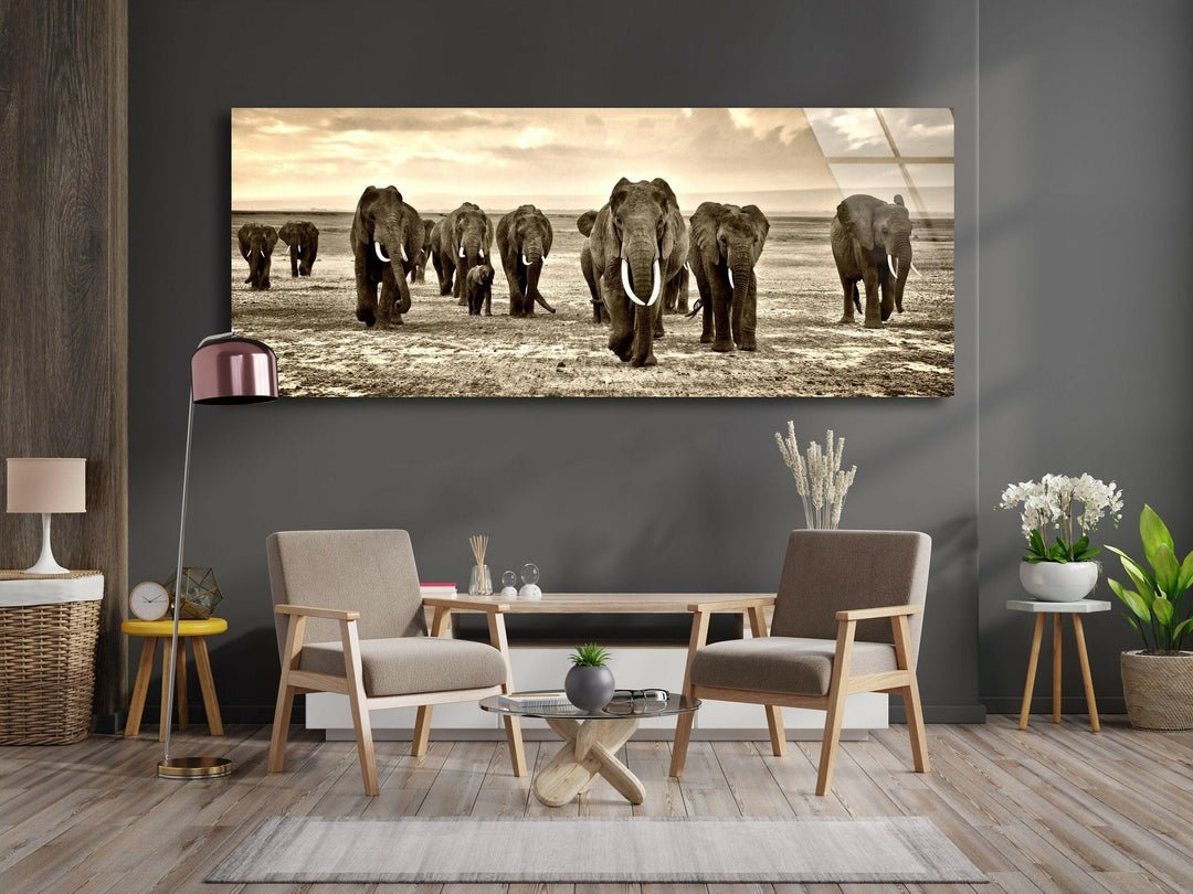 Black&White African Elephants Glass Wall Art, picture on glass wall art, photos printed on glass