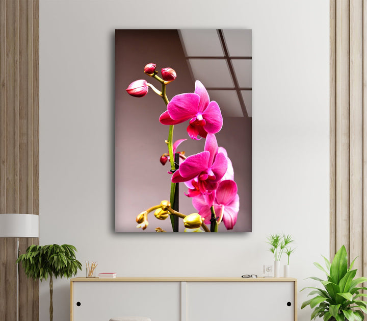 Pink Orchid Glass Wall Art, custom glass photo prints, large glass prints