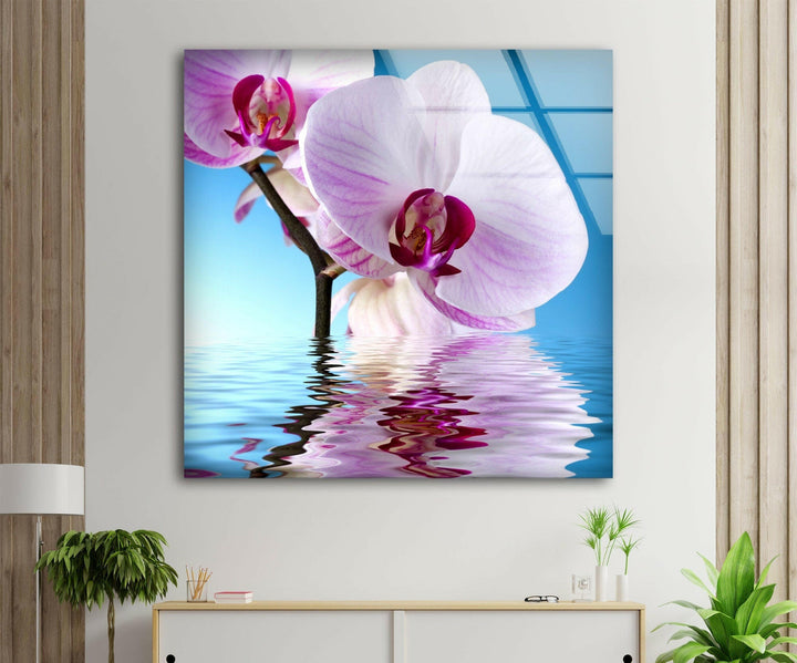 Pink Orchid Glass Wall Art, Glass Printing Wall Art, Print photos on glass