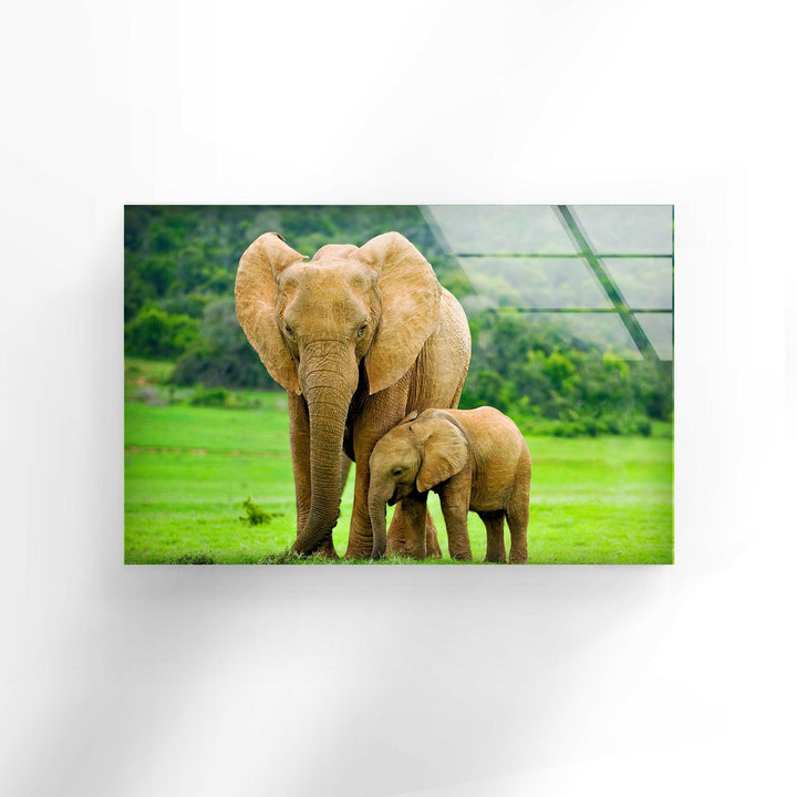 Elephants in Nature Glass Wall Art glass image printing, glass prints from photos