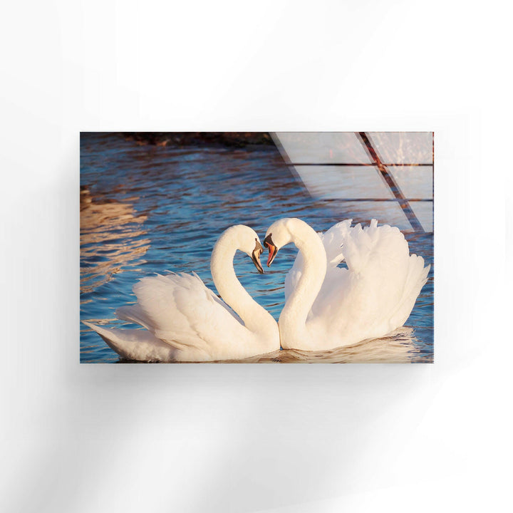 Heart of Swans Glass Wall Art print on glass, glass printed photos