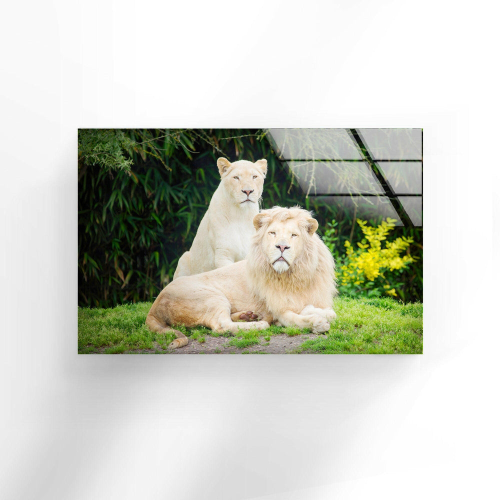 Lion Family Glass Wall Art print on glass, glass printed photos