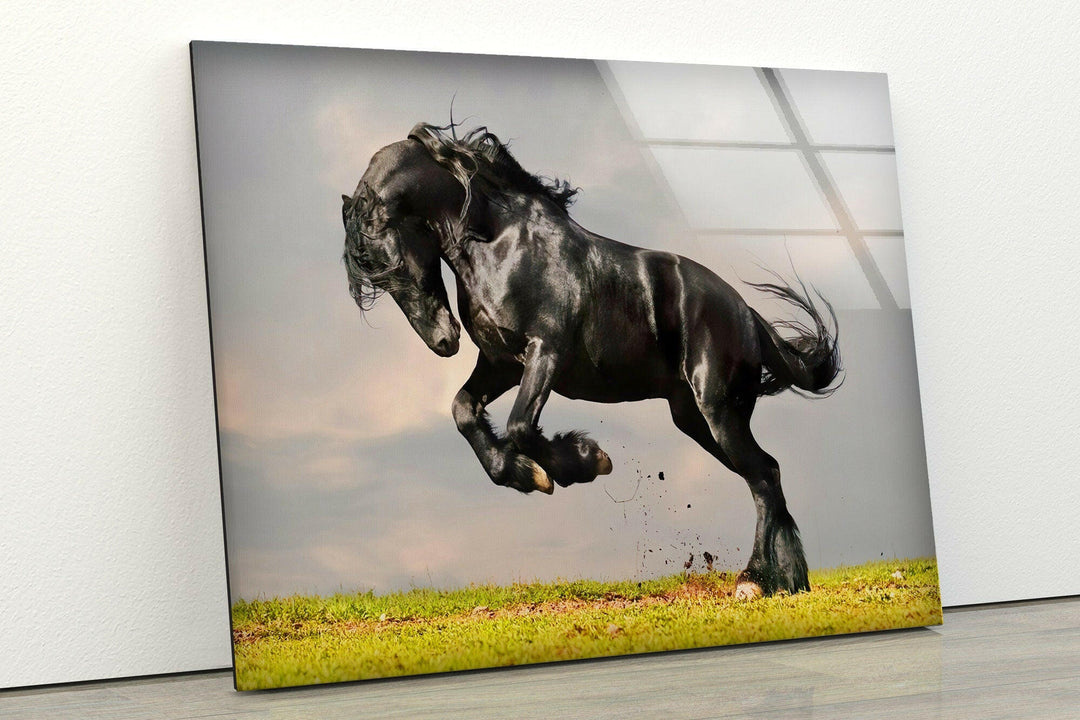 Friesian Horse Glass Wall Art photo print on glass, prints on glass wall art