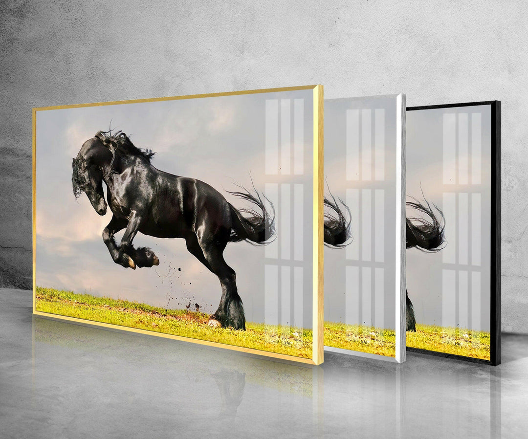 Friesian Horse Glass Wall Art picture on glass wall art, photos printed on glass