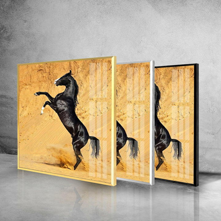 Black Horse on Desert Glass Wall Art custom glass pictures, glass art prints