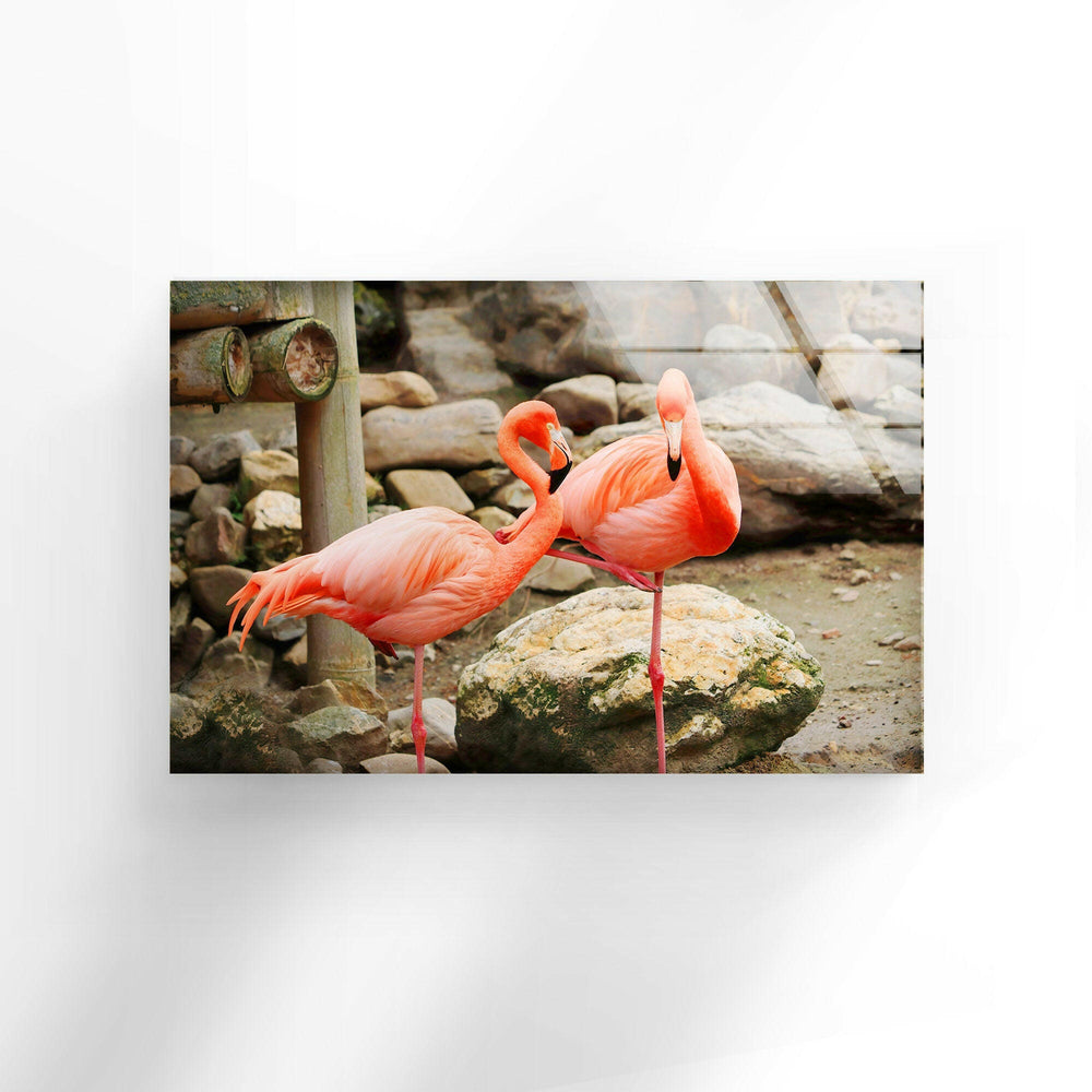 American Flamingo Glass Wall Art custom glass photo prints, large glass prints