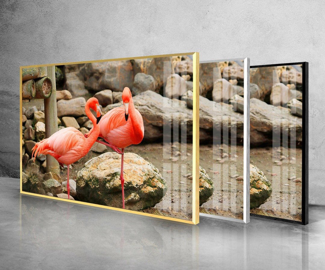 American Flamingo Glass Wall Art art glass wall art, glass wall art pictures