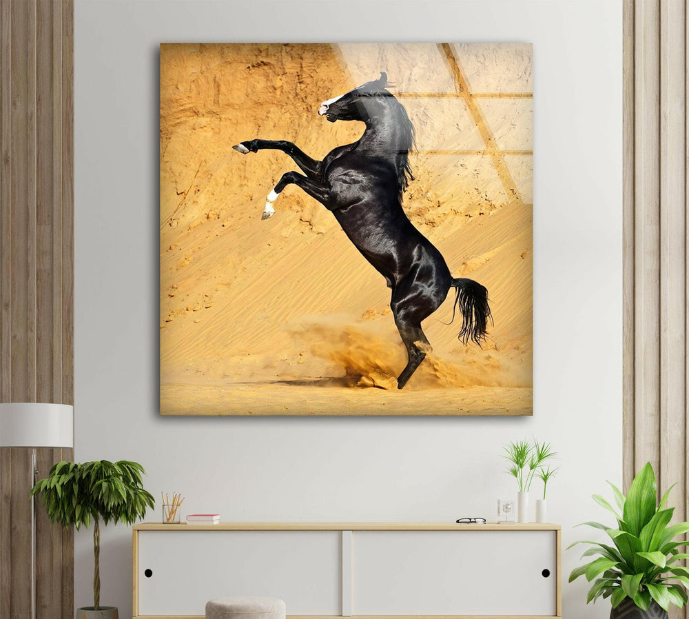 Black Horse on Desert Glass Wall Art picture on glass wall art, photos printed on glass