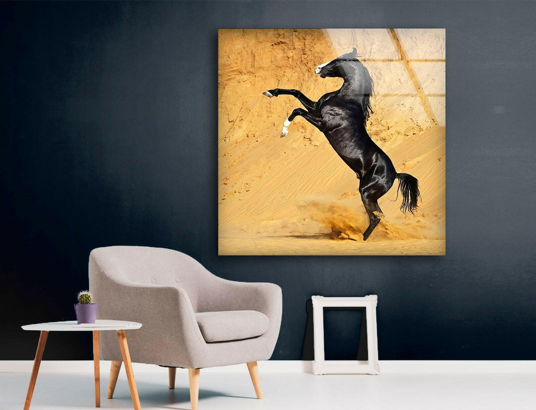 Black Horse on Desert Glass Wall Art print on glass, glass printed photos