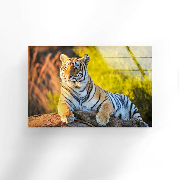 Tiger on The Rock Glass Wall Art Glass Printing Wall Art, Print photos on glass