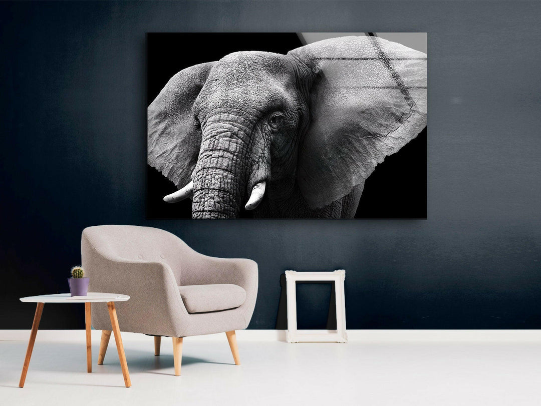 Indian Elephant Glass Wall Art print picture on glass, Tempered Glass Wall Art