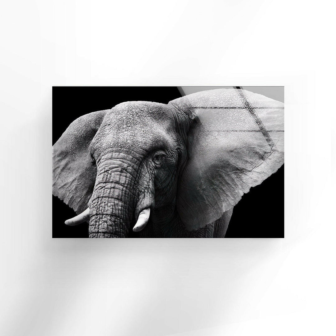 Indian Elephant Glass Wall Art large glass photo prints, glass wall photos