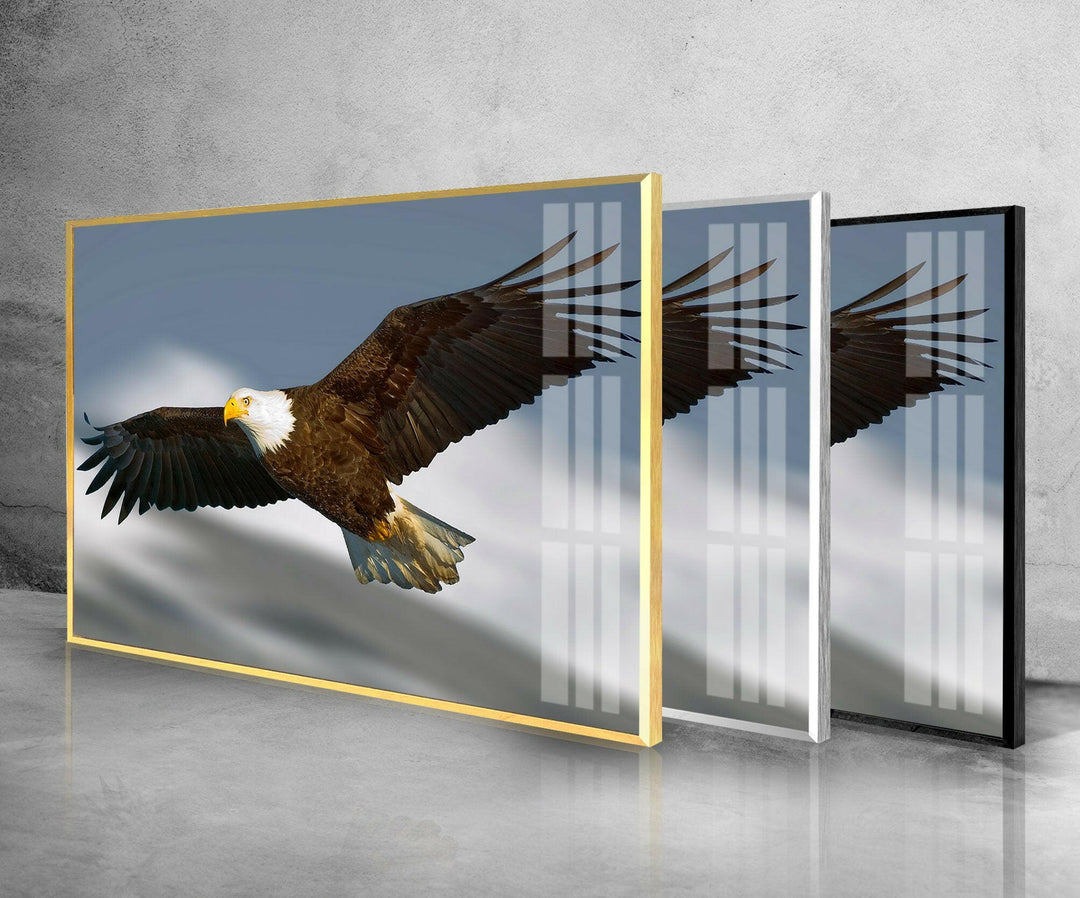 American Eagle Glass Wall Art custom glass pictures, glass art prints