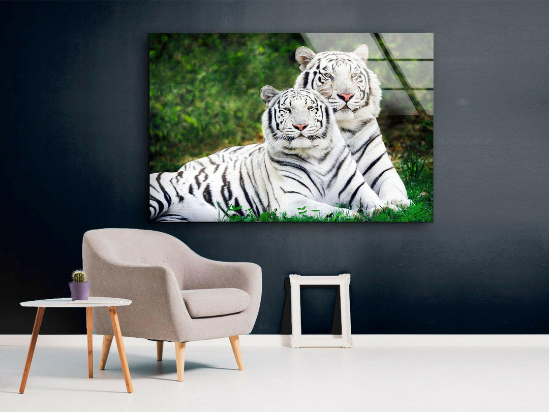 White Tigers Glass Wall Art custom glass pictures, glass art prints