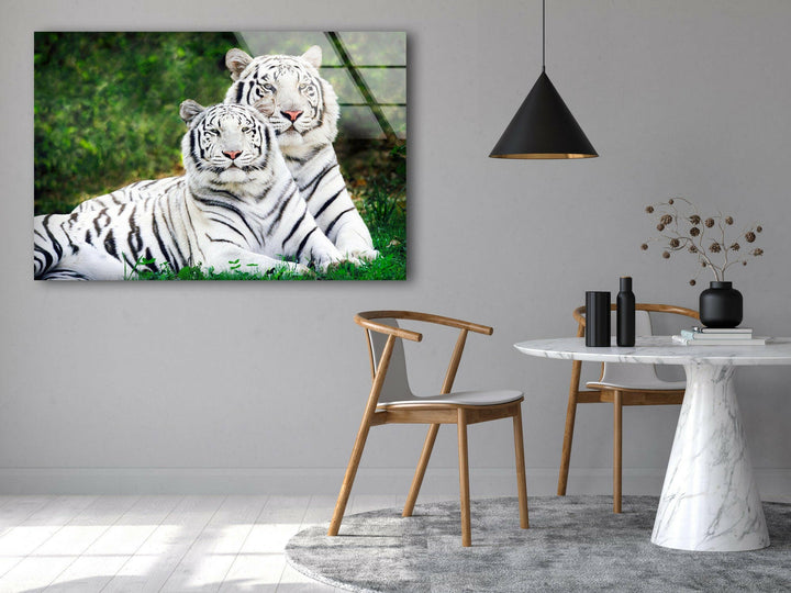 White Tigers Glass Wall Art custom glass photo prints, large glass prints