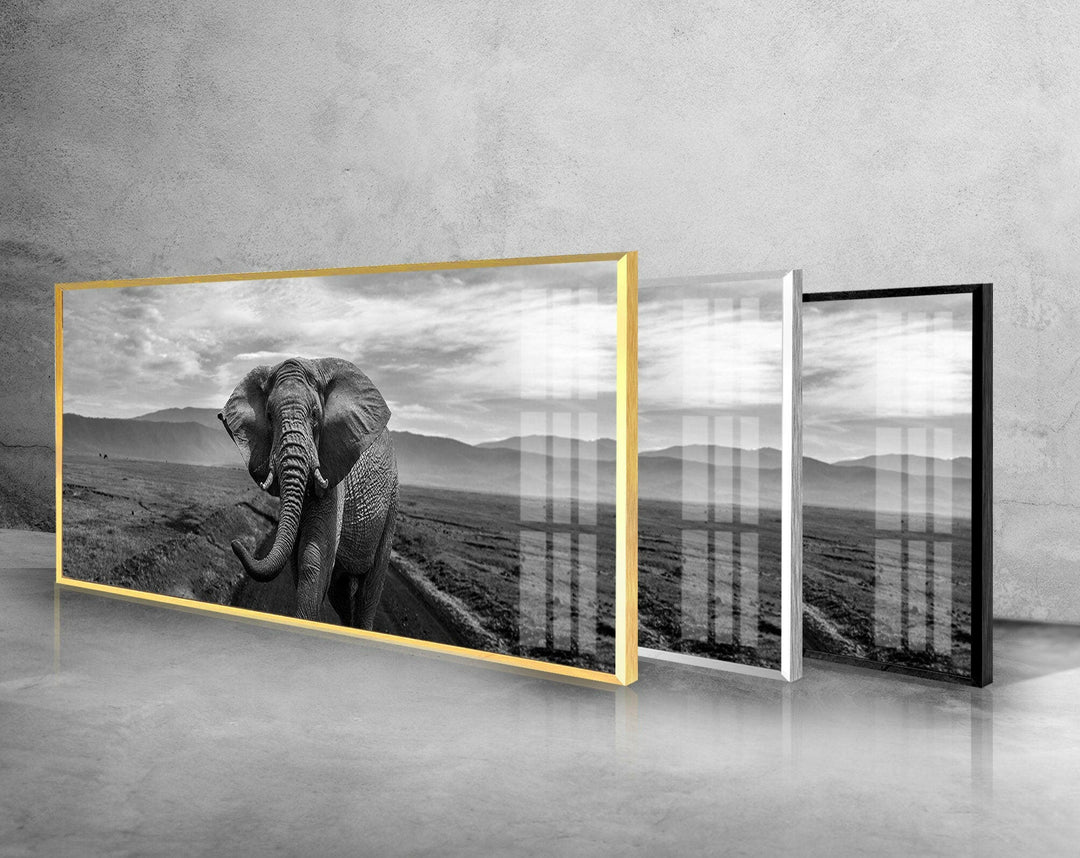 Black&White Wild Elephant Glass Wall Art, Glass Printing Wall Art, Print photos on glass