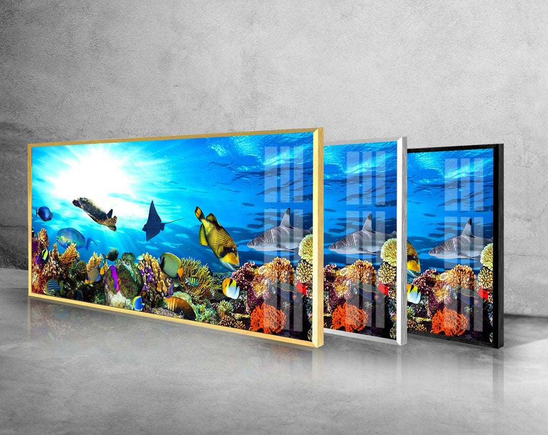 Ocean Life Glass Wall Art, Glass Printing Wall Art, Print photos on glass