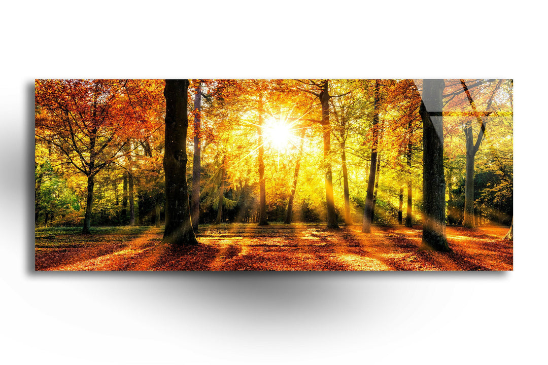 Autumn Forest Landscape Glass Wall Art, Glass Printing Wall Art, Print photos on glass