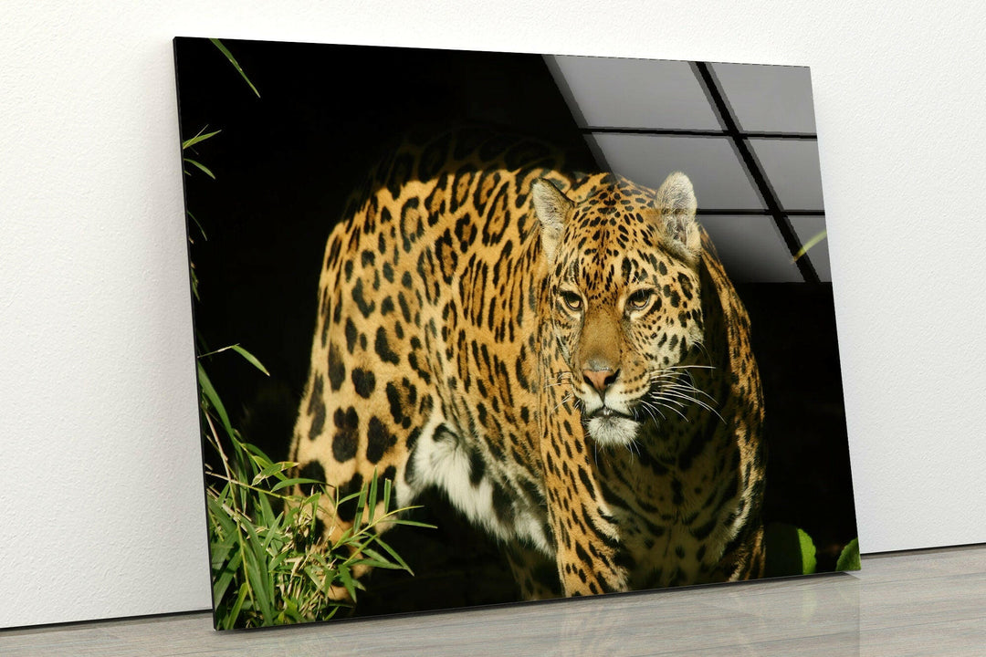 Amur Leopard Glass Wall Art glass art painting, glass art for the Wall