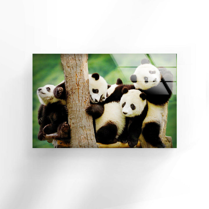 Baby Panda Glass Wall Art glass art painting, glass art for the Wall