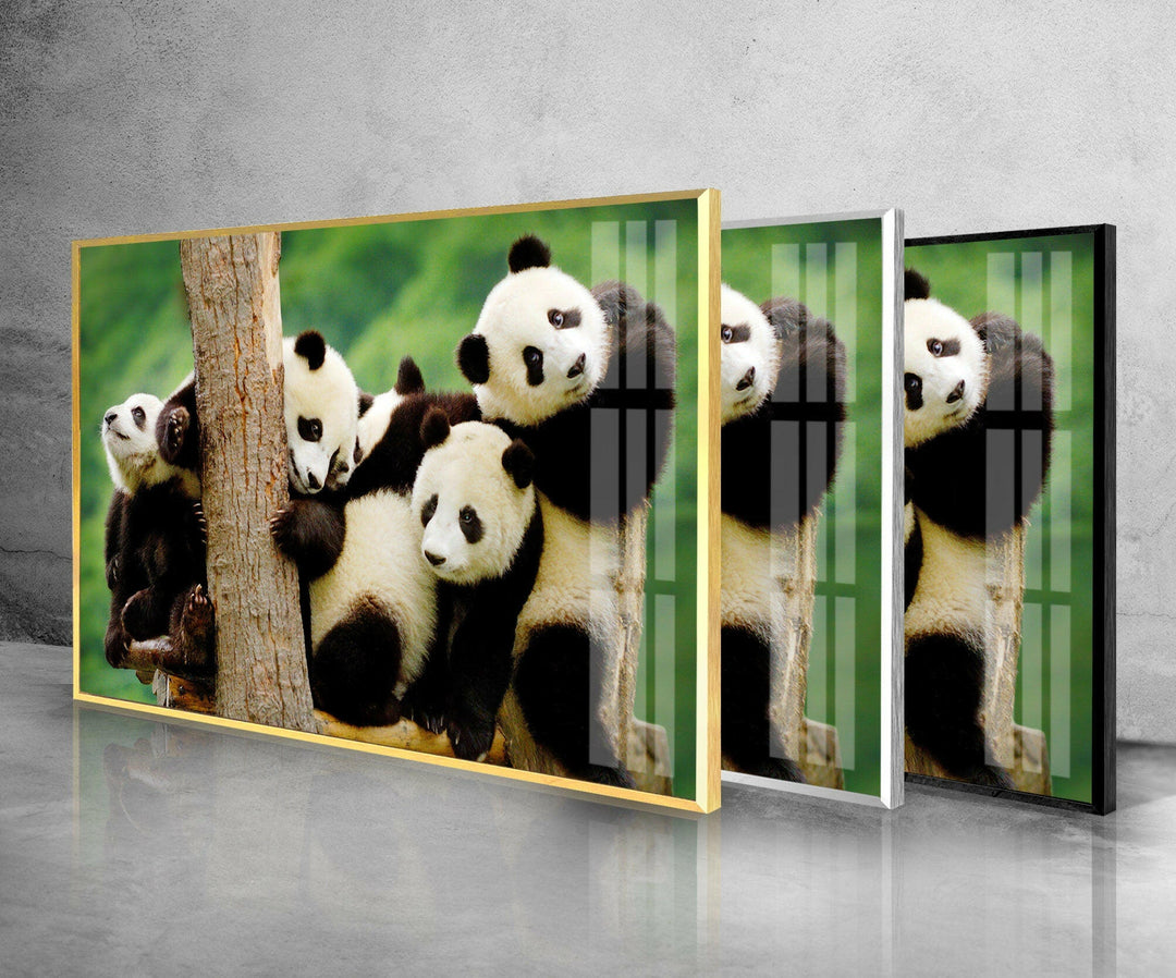 Baby Panda Glass Wall Art custom glass pictures, glass art prints