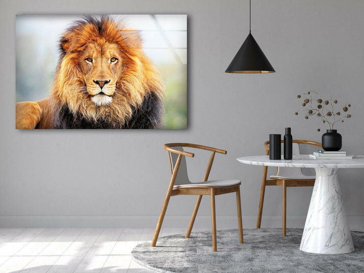 Lion King View Glass Wall Art photo print on glass, prints on glass wall art