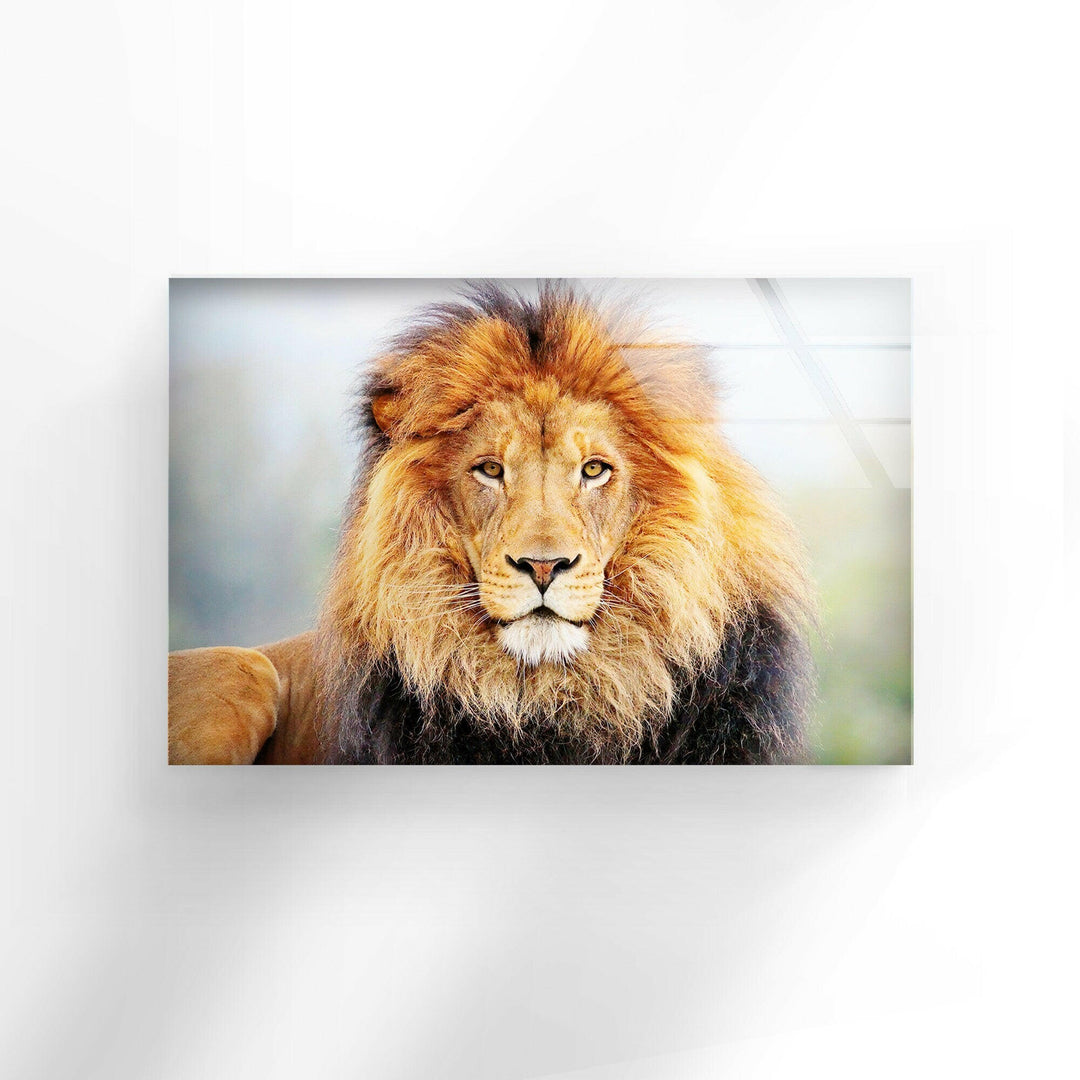 Lion King View Glass Wall Art Glass Printing Wall Art, Print photos on glass