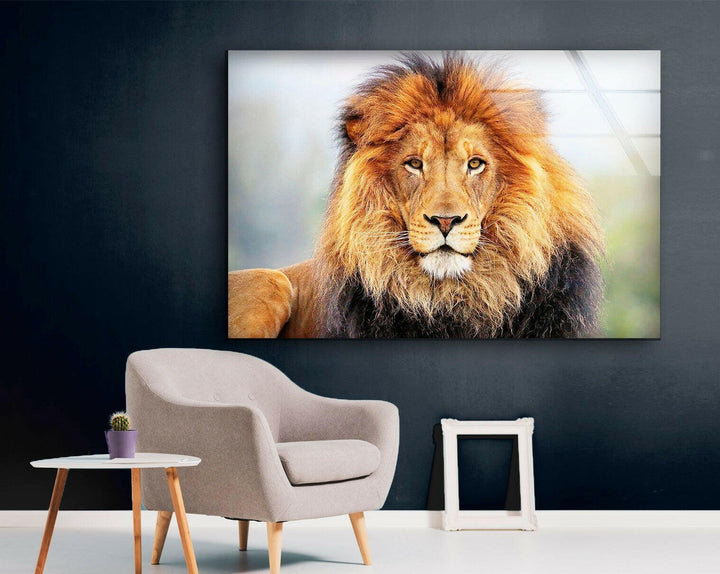 Lion King View Glass Wall Art custom glass pictures, glass art prints