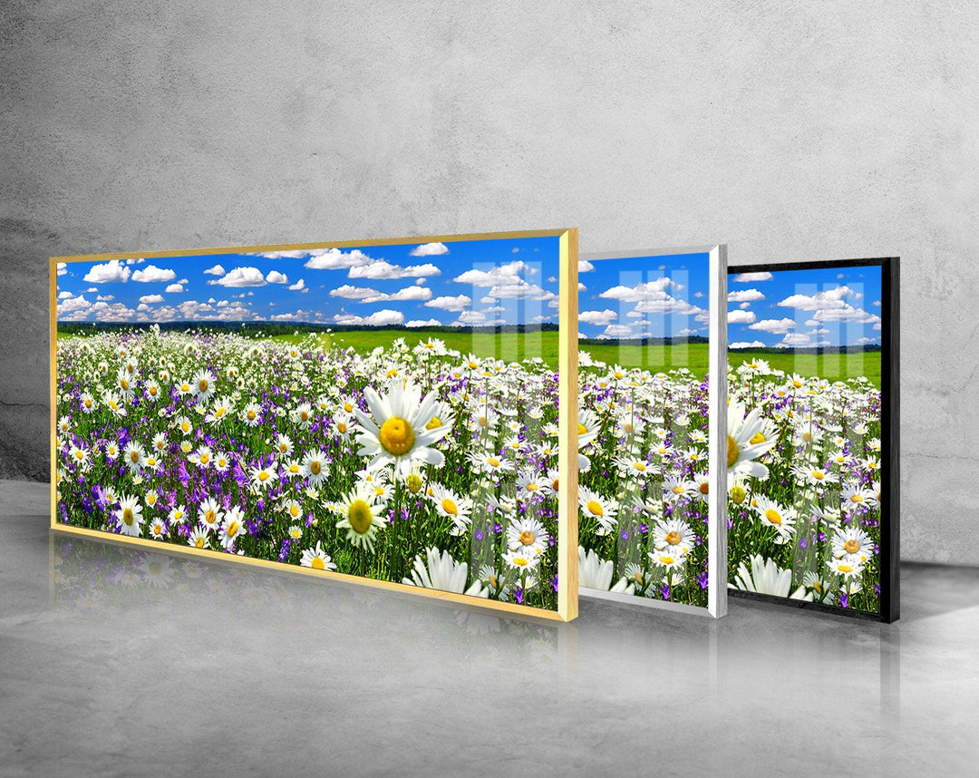 Spring Landscape, Blooming Daisy Glass Wall Art, picture on glass wall art, photos printed on glass