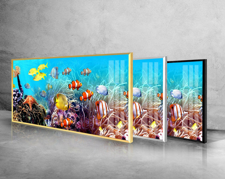 Undersea Tropical Fishes Glass Wall Art, custom glass photo prints, large glass prints