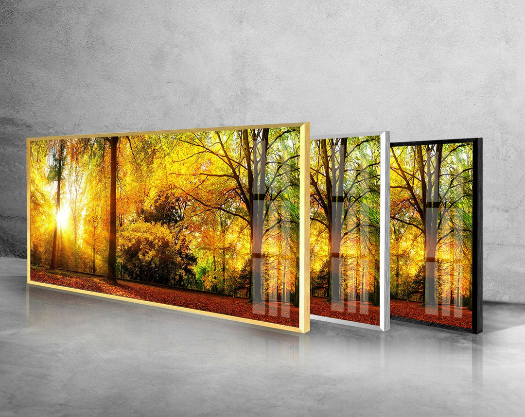 Autumn Nature Landscape Glass Wall Art, glass wall decor, glass wall art decor