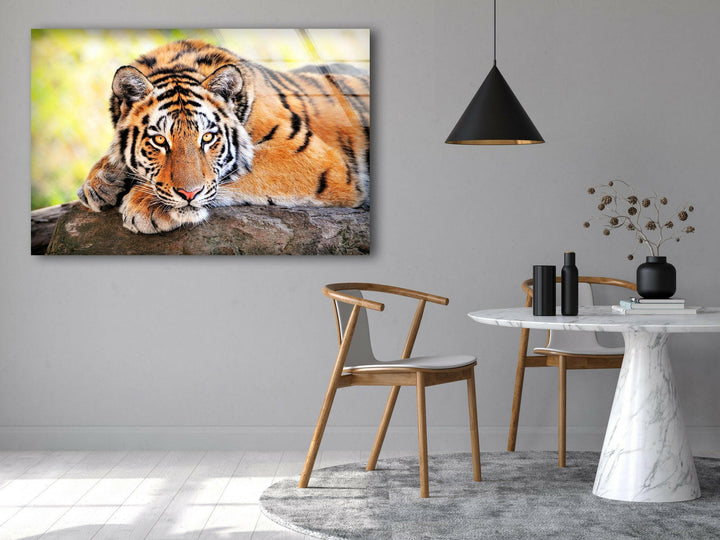 Large Tiger Laying Glass Wall Art art glass wall art, glass wall art pictures