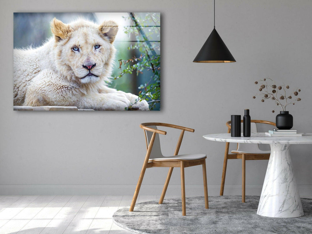 White Lion Portrait Glass Wall Art print picture on glass, Tempered Glass Wall Art