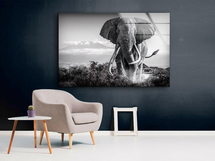 Old Elephant Running Glass Wall Art glass photo prints, glass picture prints